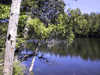 Lac Monet