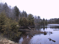 Lac Schubert