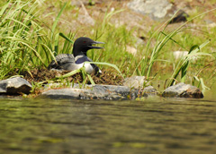 Lac Lemieux